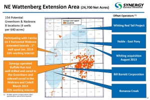 Source: SYRG March 2014 Presentation