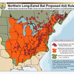 Northern Long-Eared Bat Proposed Buffer Zone