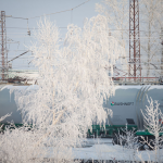 A Bashneft rail car