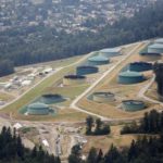 Court suspends Alberta law curbing oil and gas flows to British Columbia - oil and gas 360