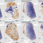 EIA updates geologic maps of the Delaware Basin’s Bone Spring formation - oilandgas360.com