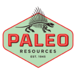 Paleo Resources, Inc. Appoints New Auditor -oilandgas360