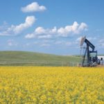 Oil slides as renewed China COVID curbs temper fuel demand outlook- oil and gas 360