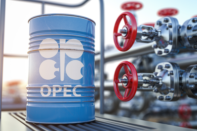 IEA sees OPEC+ as unlikely to supply more oil in coming months- oil and gas 360