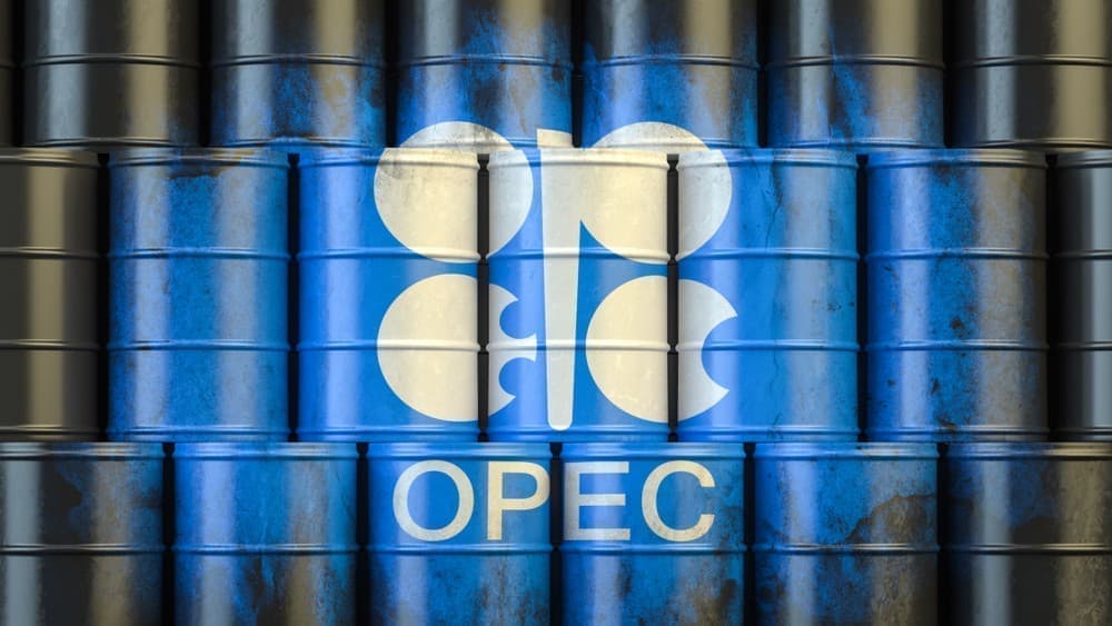 U.S. Offical: OPEC+ cut came at “The worst possible moment”- oil and gas 360