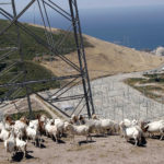 U.S. grants $1.1 bln to keep Diablo Canyon nuclear plant open- oil and gas 360