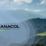 Canacol Energy Ltd. Announces Closing of New Revolving Credit Facility- oil and gas 360