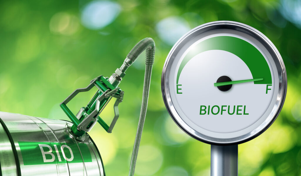 Major companies bet on biofuels with over 40 projects planned by 2030- oil and gas 360